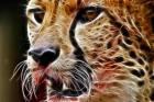 Awatar Cheetah